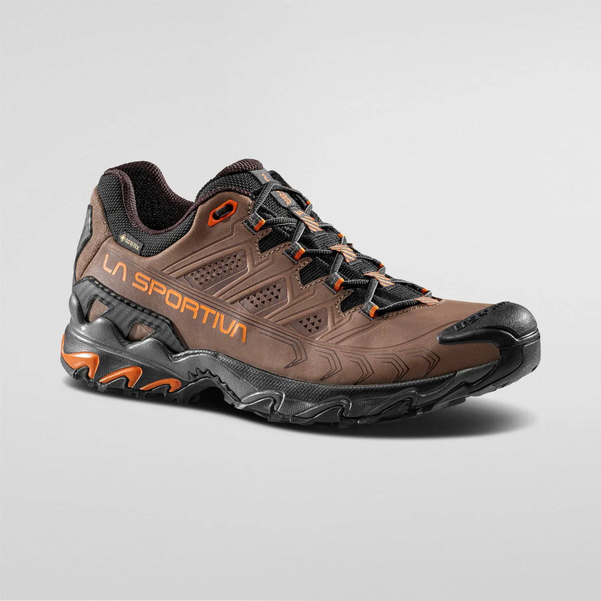 Ultra Raptor II Leather GTX