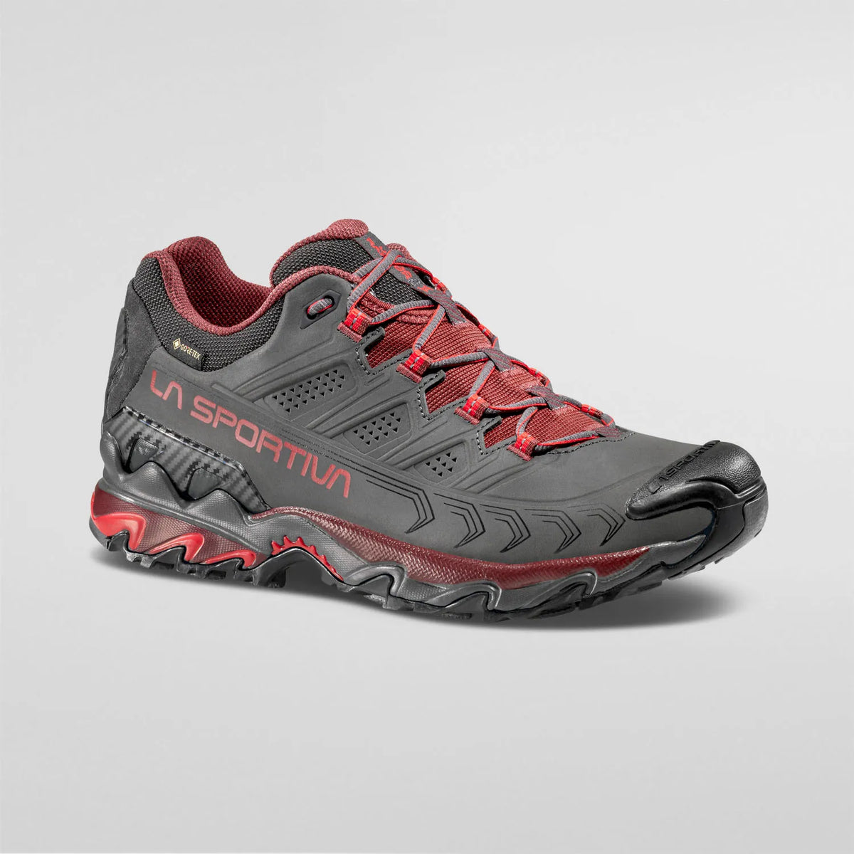 Ultra Raptor II Leather GTX