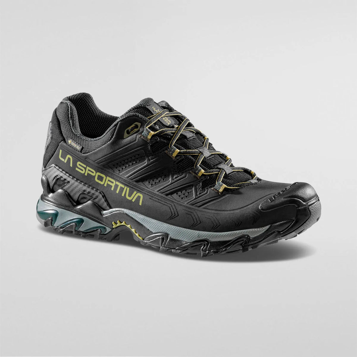 Ultra Raptor II Leather GTX