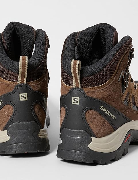 Salomon Authentic LTR GTX
