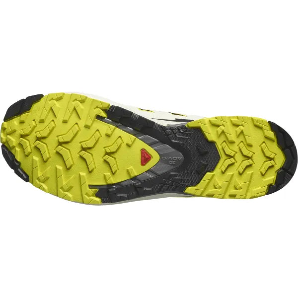 XA Pro 3D V9 GTX M