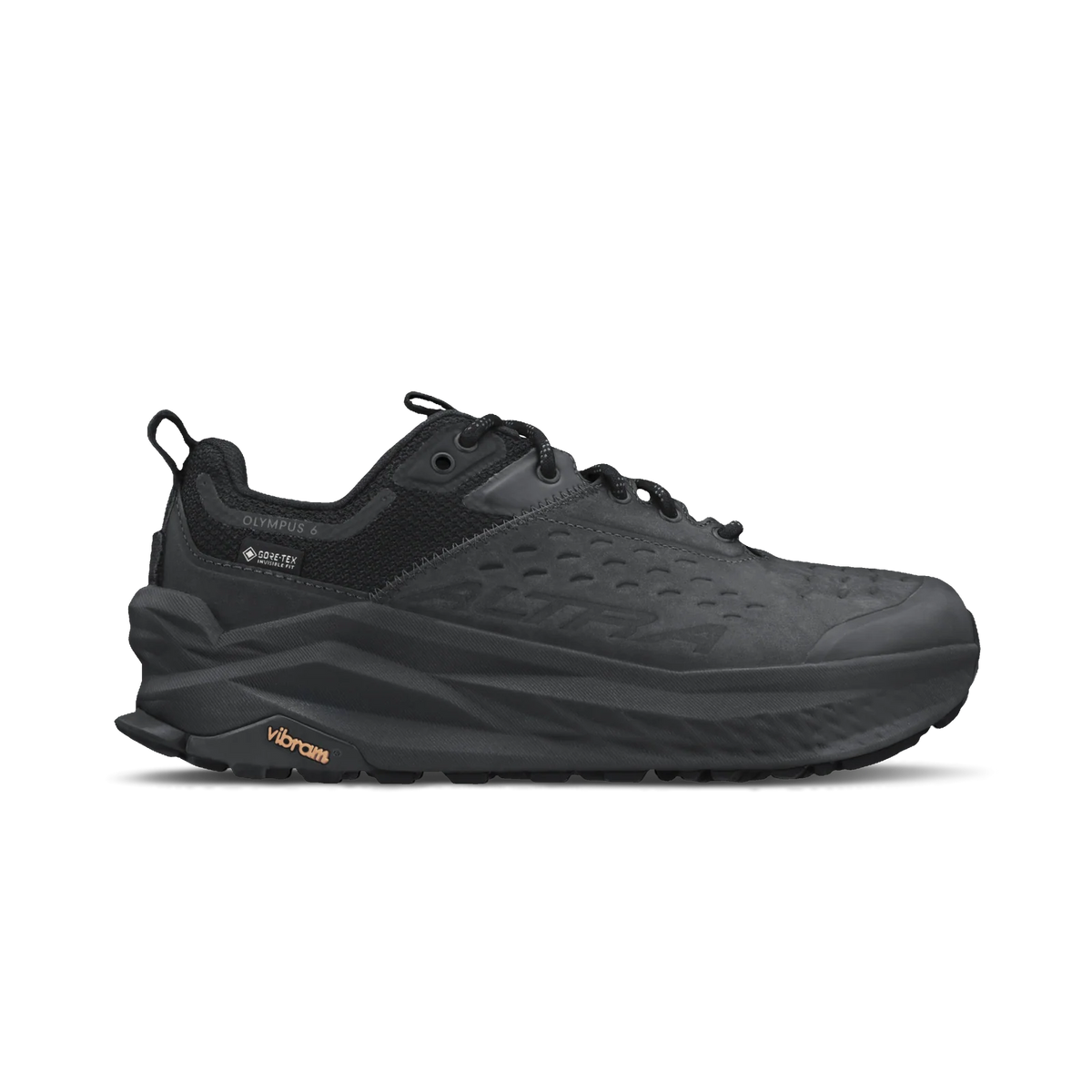 Olympus 6 Hike Low GTX W