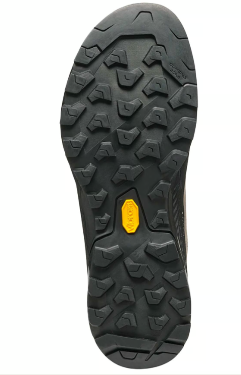 RAPID XT