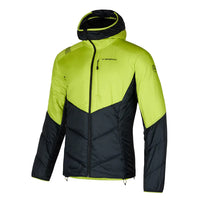 Lime Punch-Black