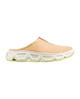Almond Cream-Vanilla Ice-Sunny