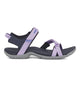 VIOLA (LNY)