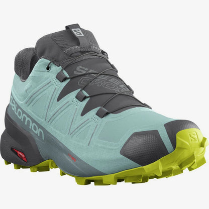 SPEEDCROSS 5 GTX W